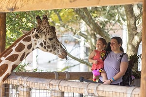 Family at Jacksonville zoo with a giraffe